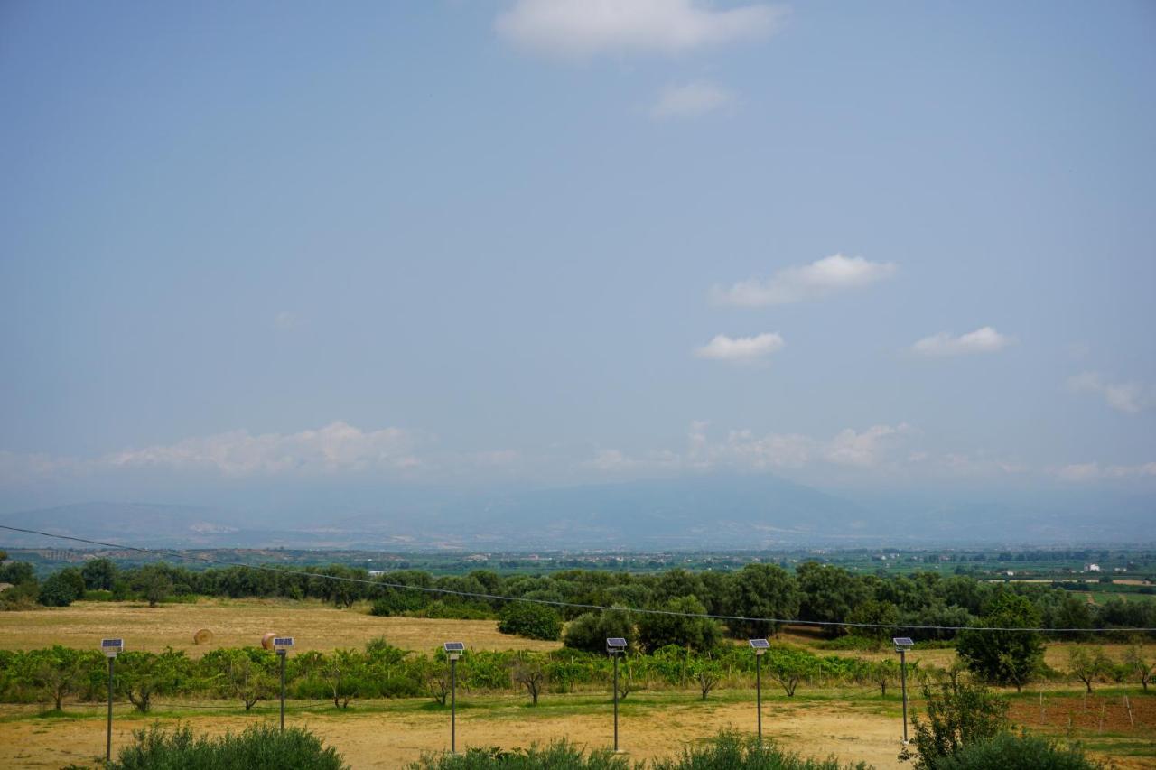 Agriturismo Casacchella Marina di Sibari Exterior photo